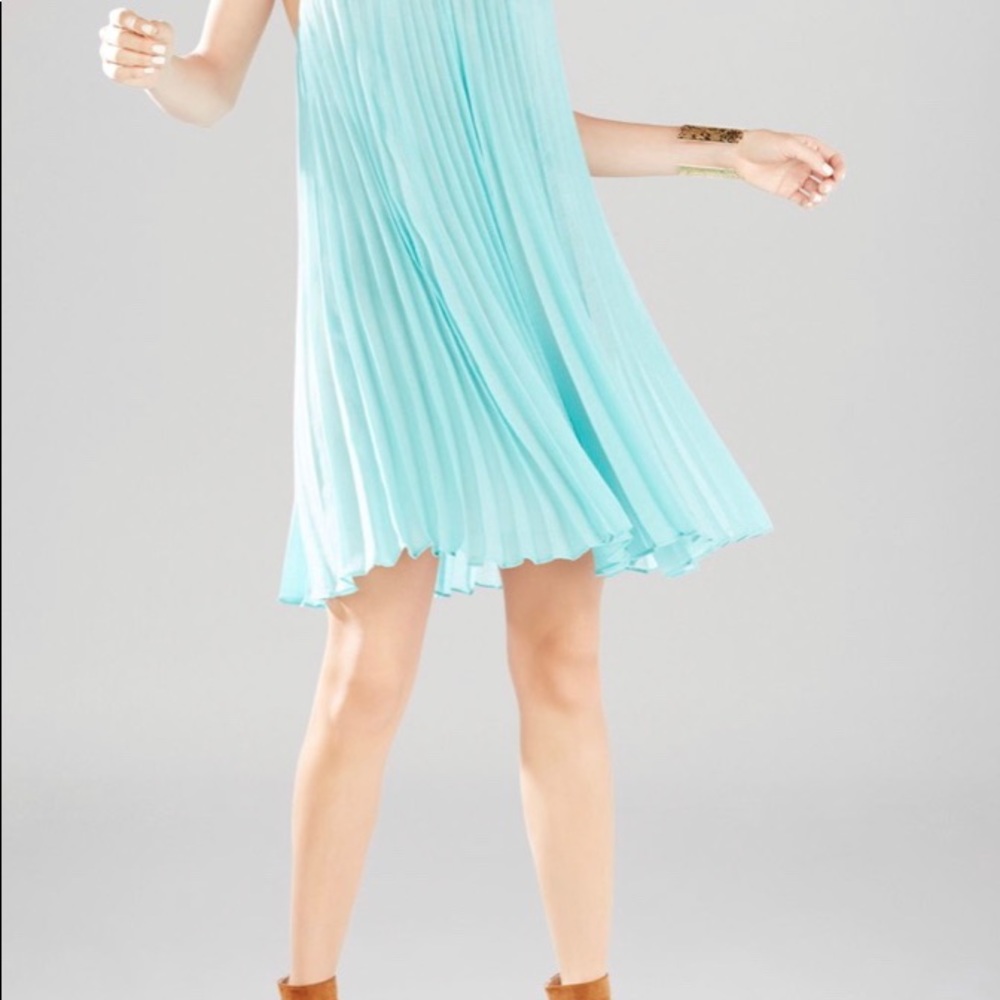 BCBG Cayanne Sleeveless Pleated Dress